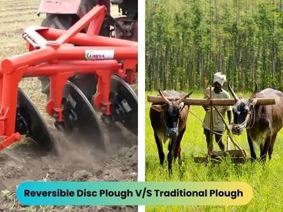 Reversible Disc Plough Vs. Traditional Plough 